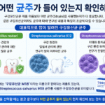 구강유산균과 잇몸유산균, 같은 걸까? 헷갈리는 이유부터 알아보자 유산균