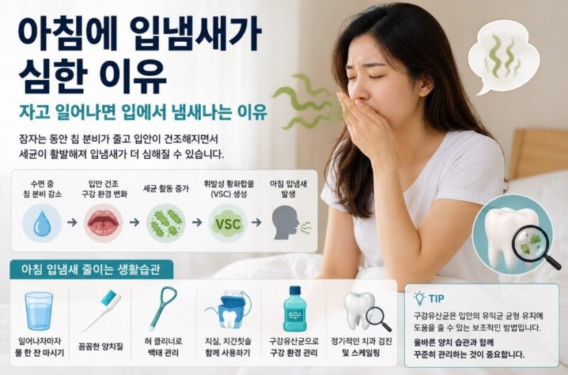 입냄새 1